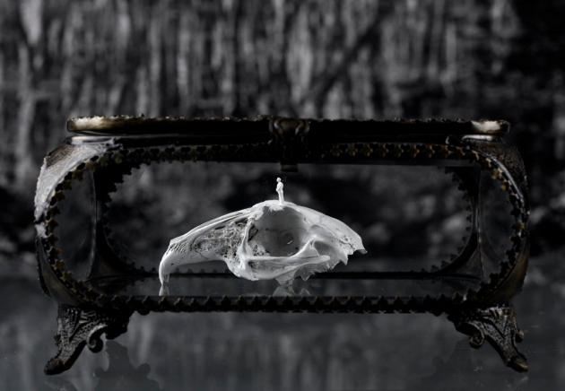 Worlds of Bones, Rabbit©MagaliLambert-ADAGP